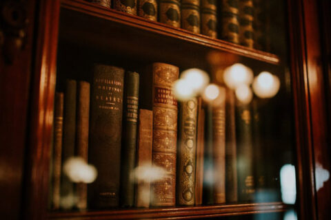 Criminal Law Books in a Bookcase - Richards & Richards Law Firm