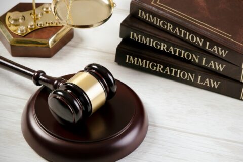 Law hammer, scales and Immigration Law Books in Los Angeles, CA for Crimmigration study